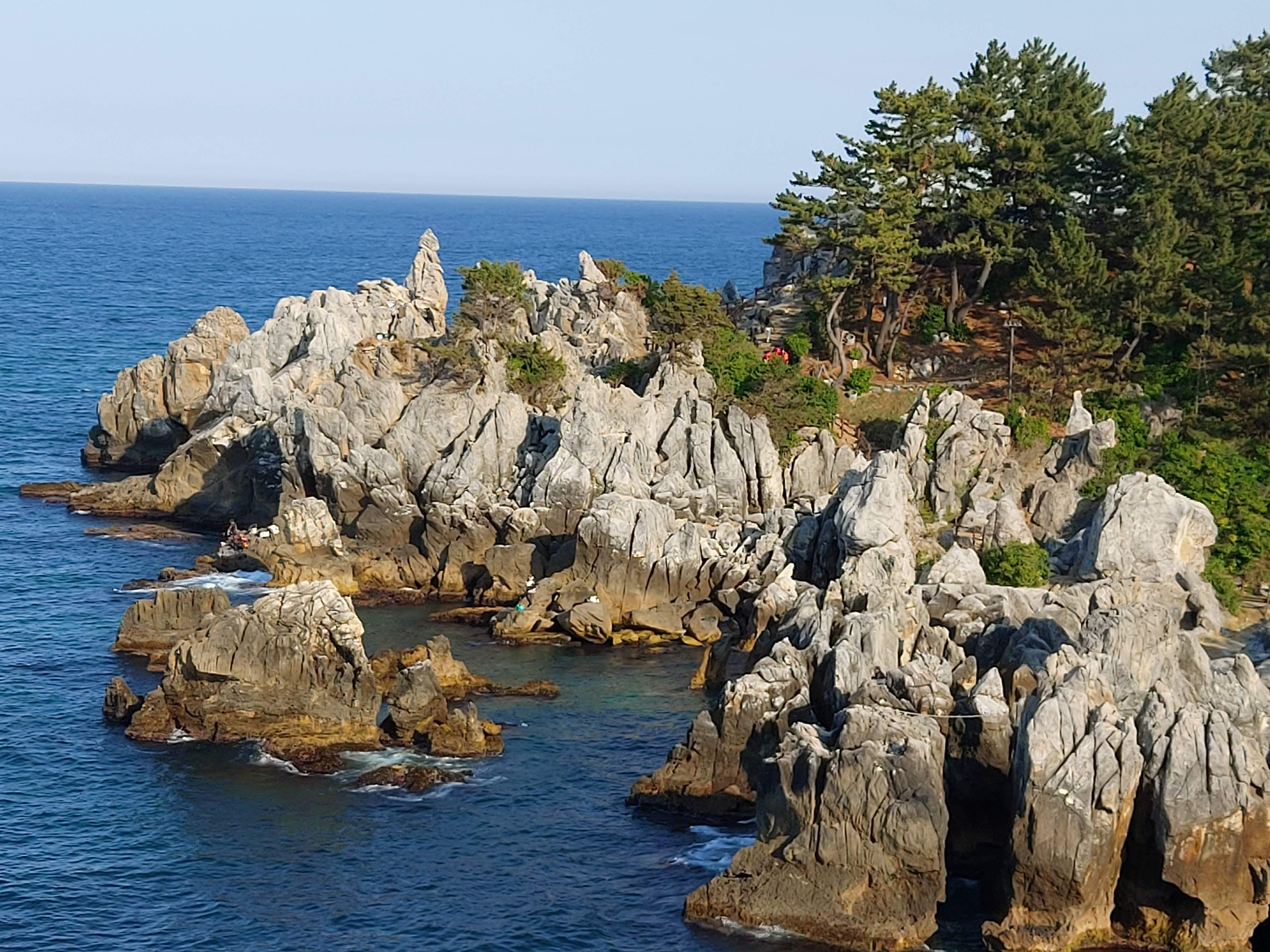 以海鸥与渔船为题材的岸景，呼应东海的渔业前史。